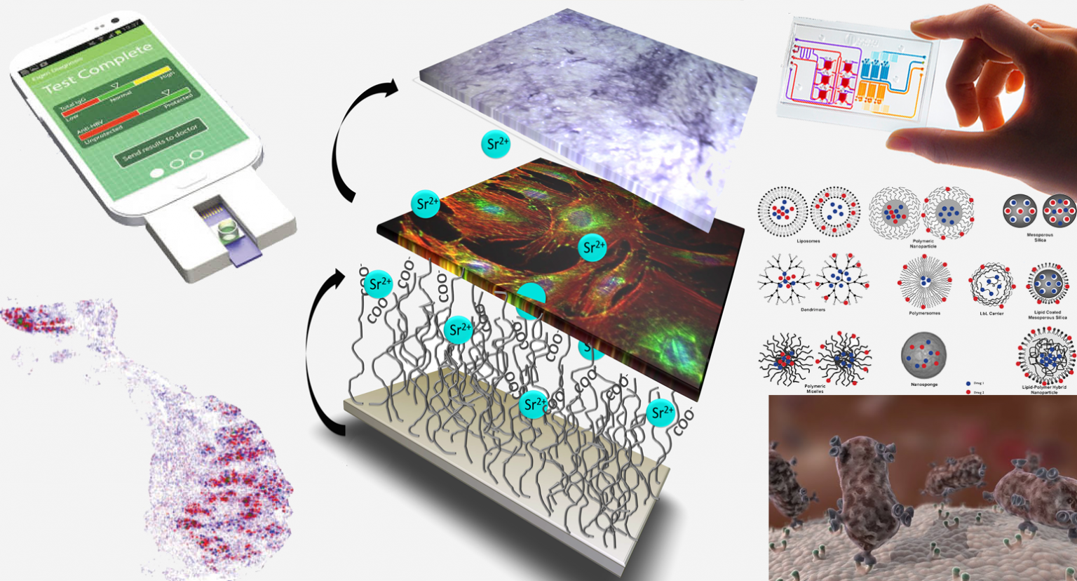 BIOINTERFACES Discovery of the molecular mechanisms underlying